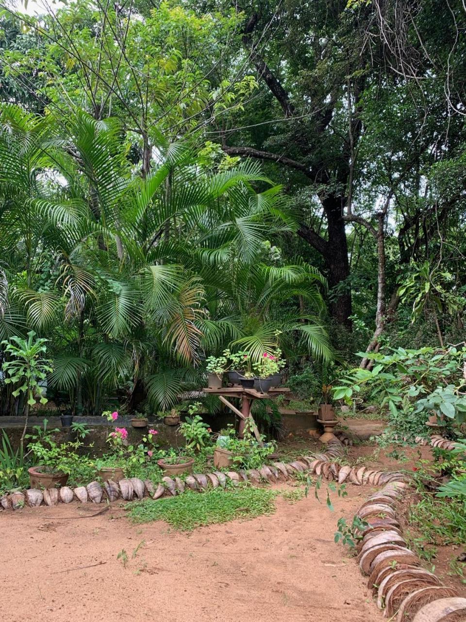 Manju Homestay Сигирия Екстериор снимка