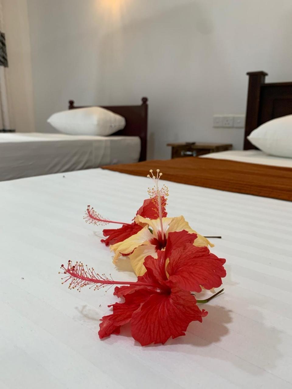 Manju Homestay Сигирия Екстериор снимка
