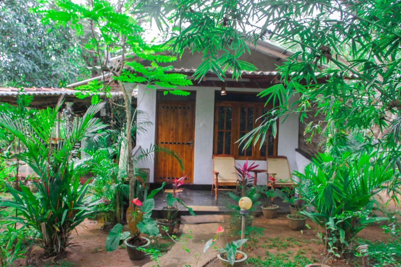 Manju Homestay Сигирия Екстериор снимка
