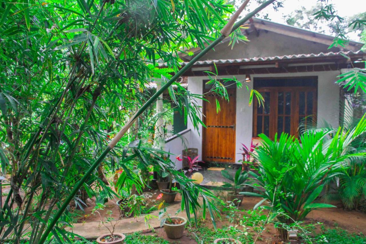 Manju Homestay Сигирия Екстериор снимка